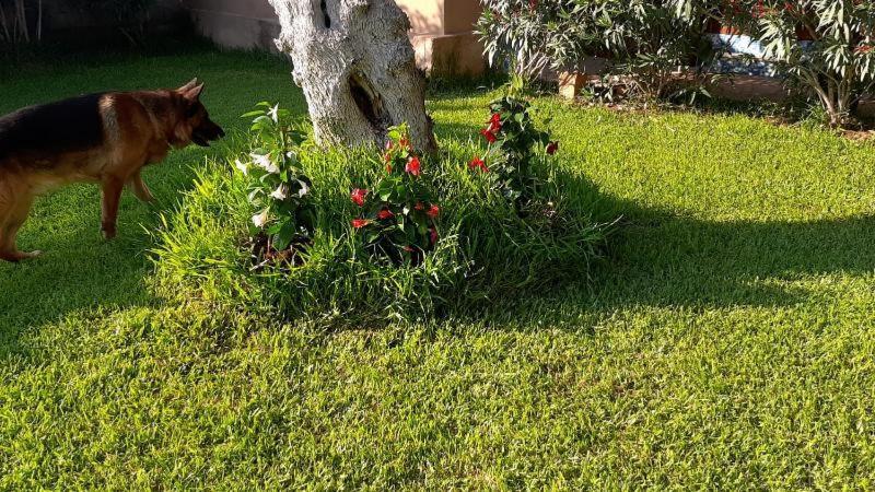 Villa Girasole Monteroni di Lecce Exterior foto